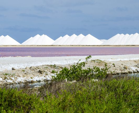 Pink lake as seen during an island tour on Bonaire