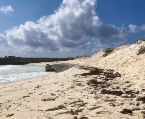 Playa Chikitu Bonaire Sand Dunes