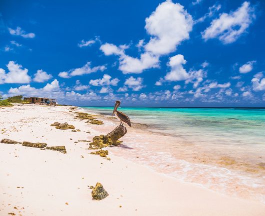Atlantis Beach Bonaire