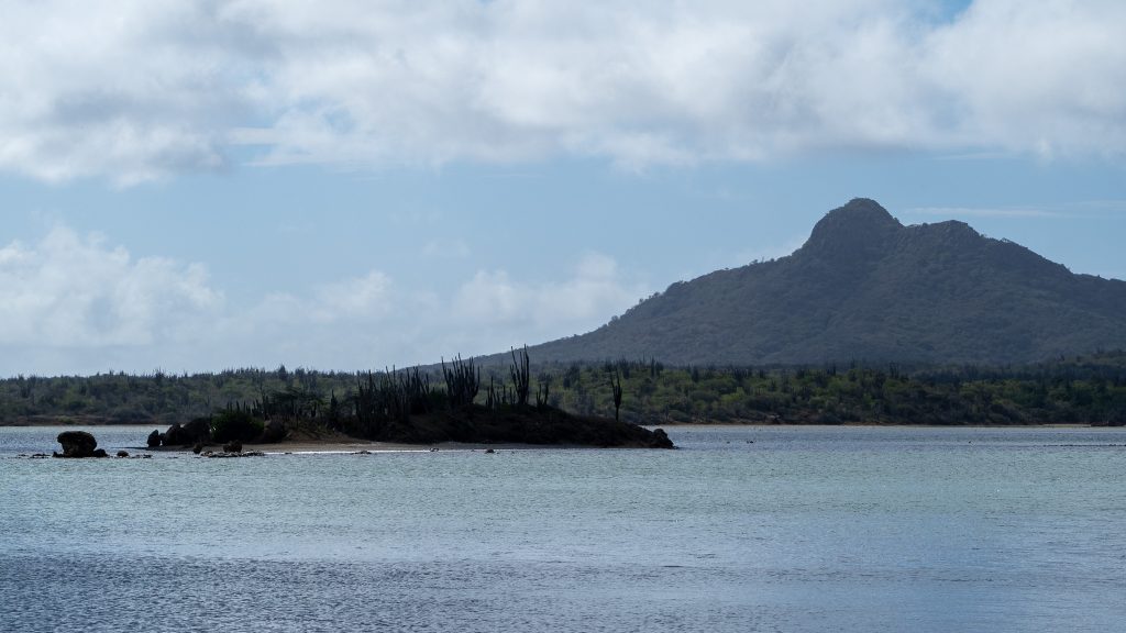 View at the Brandaris over Lake Goto Bonaire