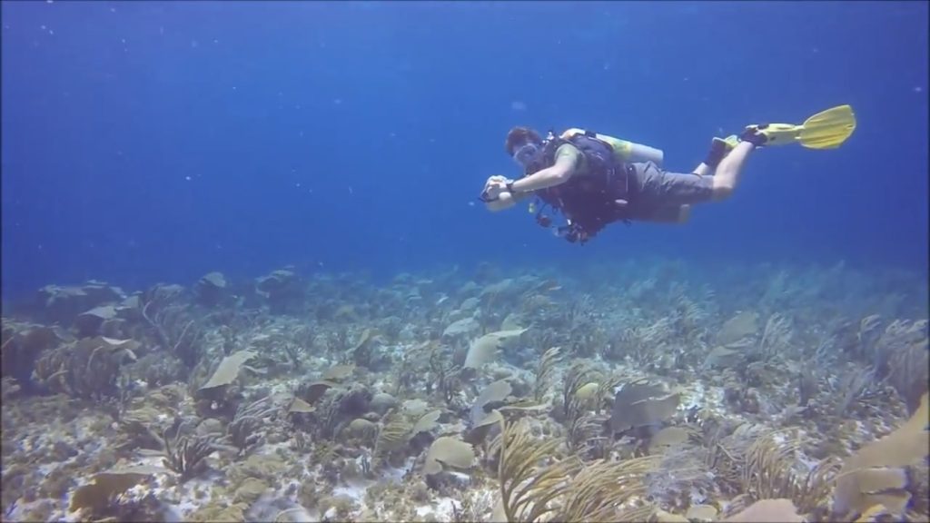 scubadiver at east coast Bonaire