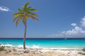 Pink Beach Bonaire