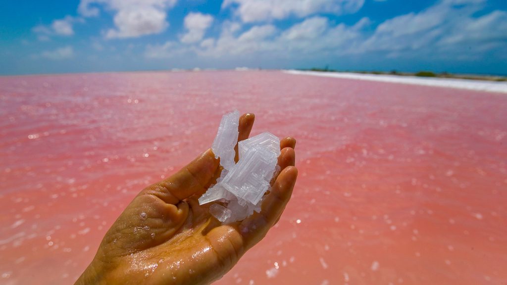 salt from the brine water at the salt flats bonaire