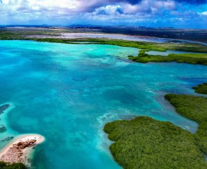 Aerial picture of Lac Bay with mangroves