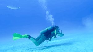 Diving at White Slave Bonaire