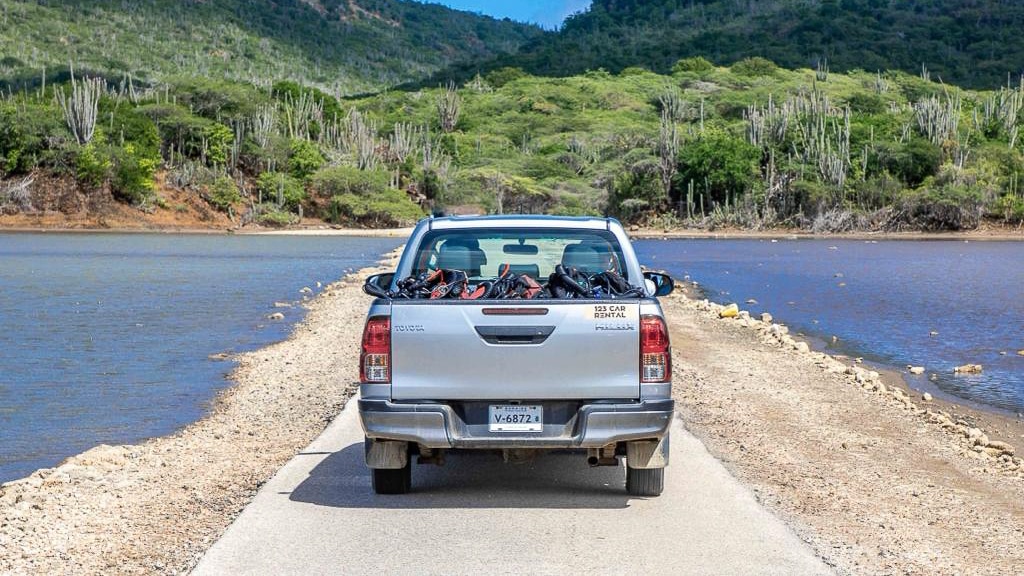 pickup truck driving at Lake Goto