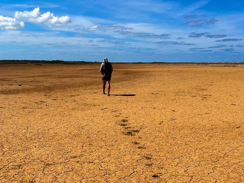 Almost desert like conditions near golf course Bonaire during hike around bonaire