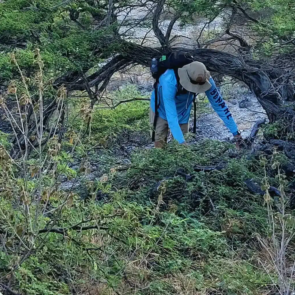 Floris Josten klimt de klifrand op richting Boka Slagbaai
