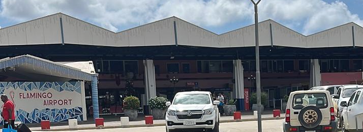 Bonaire International Airport Flamingo